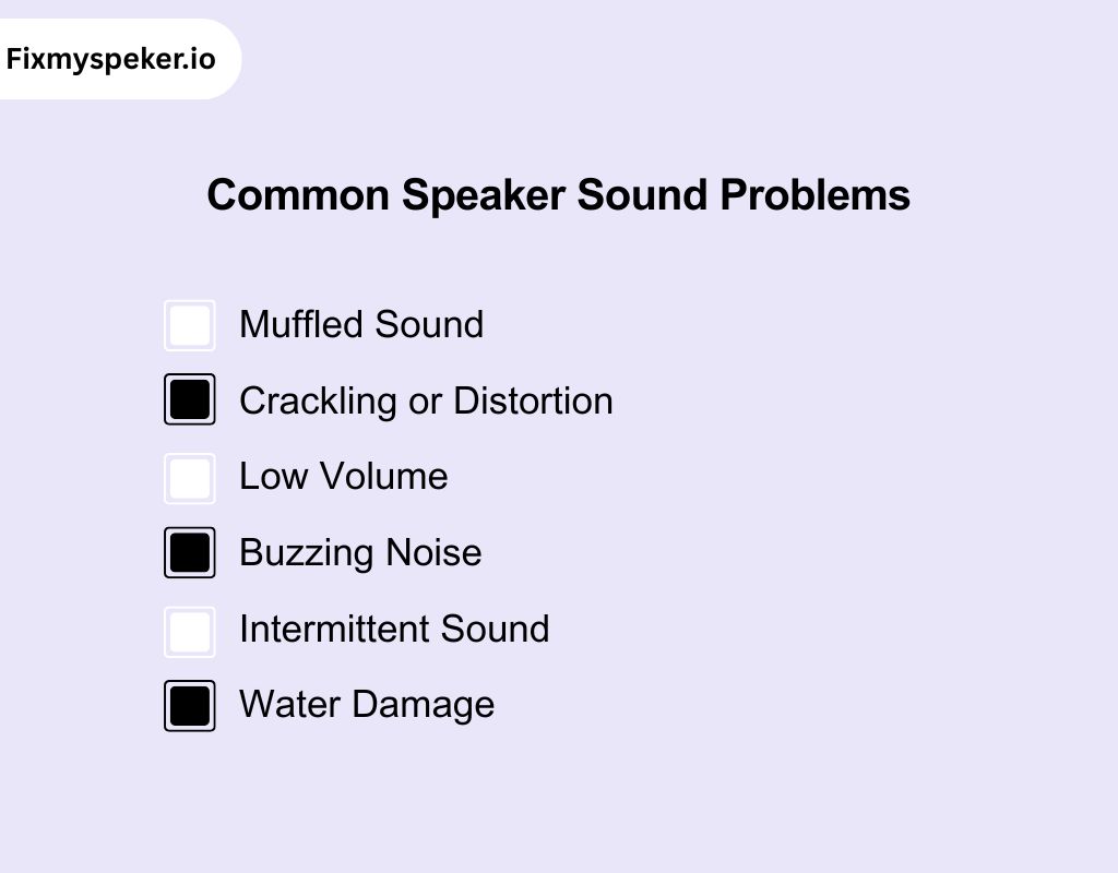 Common Speaker Sound Problems