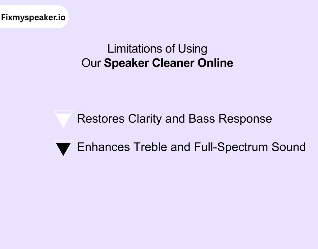 Limitations of Using Our Speaker Cleaner Online